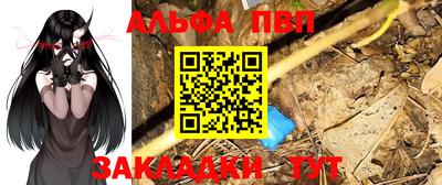 дмт Кингисепп