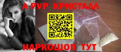 дмт Кингисепп